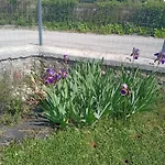 Apartment La Clematite D'olt Saint-Come-d'Olt