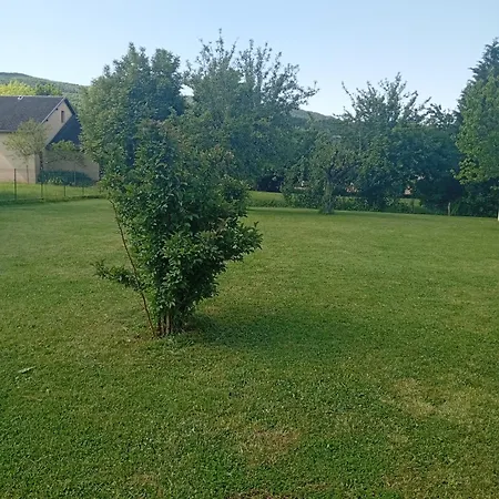 La Clematite D'olt Saint-Côme-dʼOlt