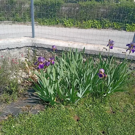 Apartment La Clematite D'olt Saint-Come-d'Olt